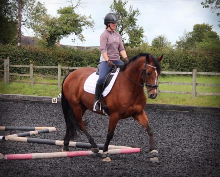 A lady riding a brown horse